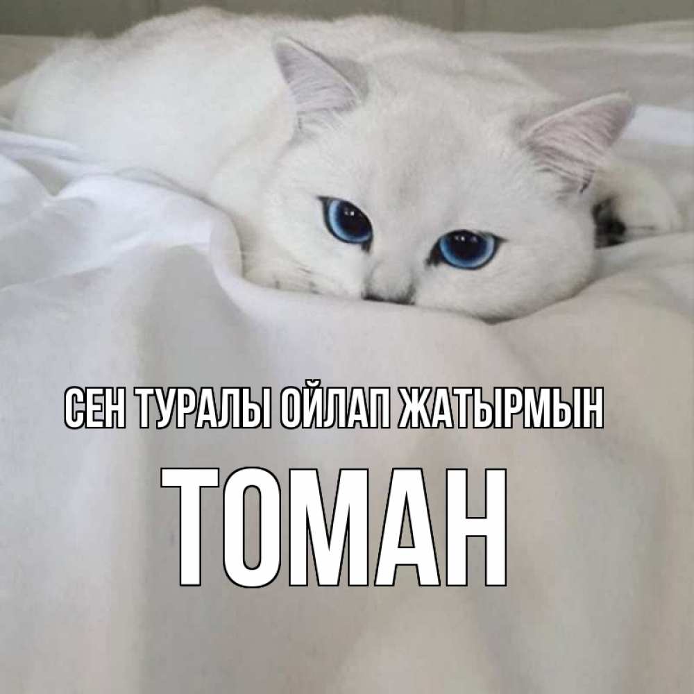 Күн сайын ашық хат с именем, ТОМАН Сен туралы ойлап жатырмын я очень по тебе скучаю и тоскую Онлайн тегін жүктеп алу тілектері бар керемет карта 