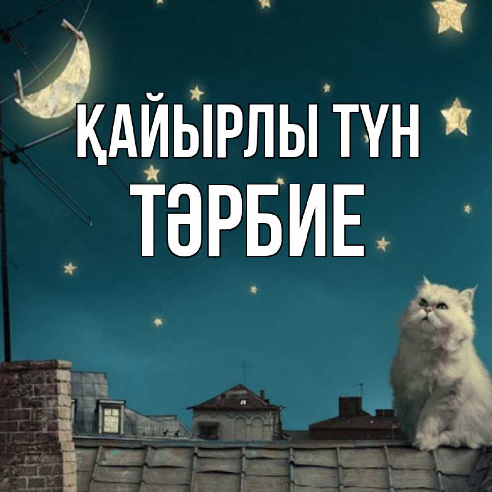 Күн сайын ашық хат с именем, ТӘРБИЕ Қайырлы түн белый кот сидит на крыше Онлайн тегін жүктеп алу тілектері бар керемет карта 