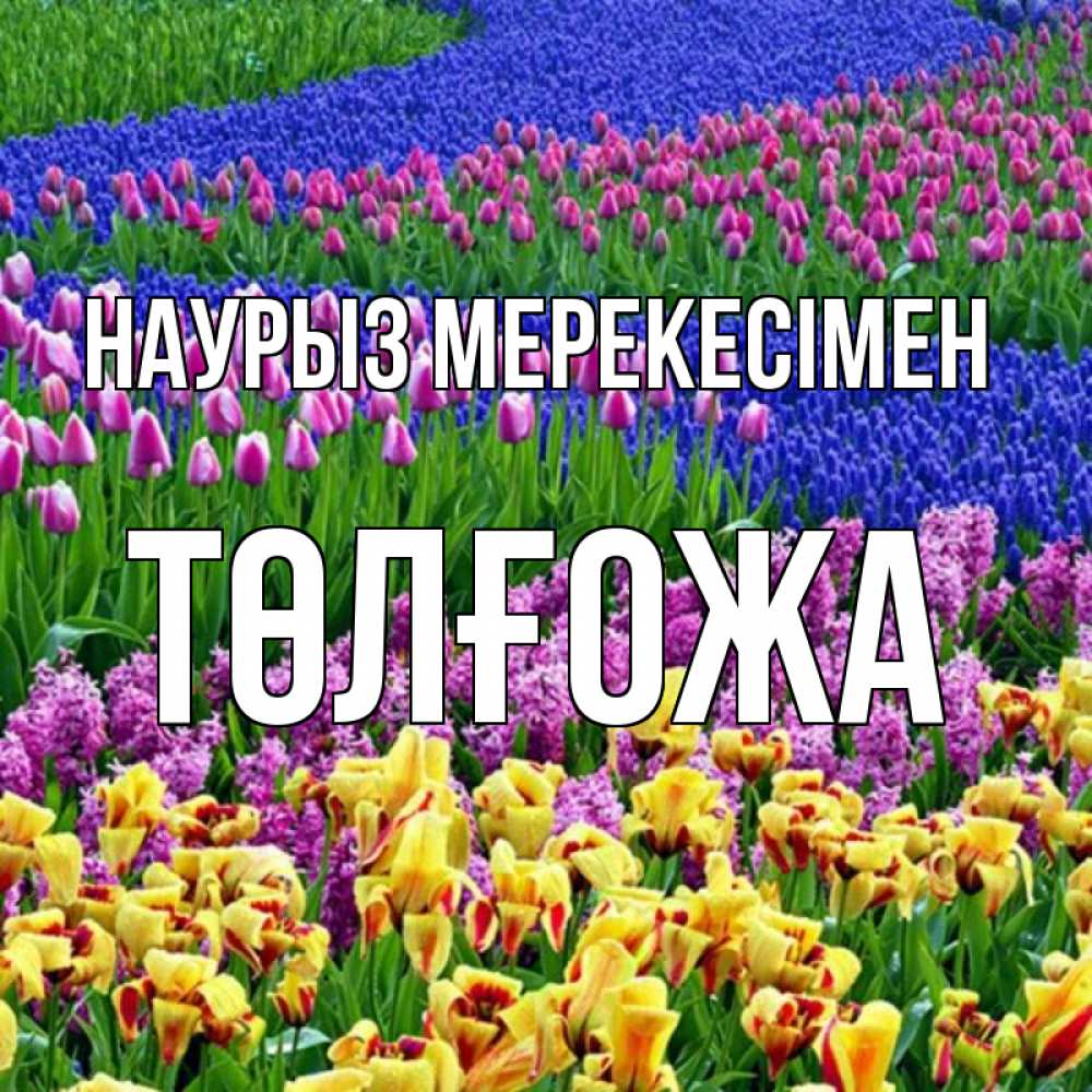 Күн сайын ашық хат с именем, ТӨЛҒОЖА Наурыз мерекесімен цветы Онлайн тегін жүктеп алу тілектері бар керемет карта 