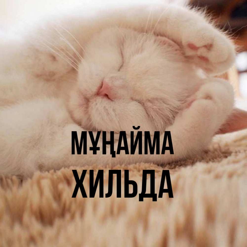 Күн сайын ашық хат с именем, Хильда Мұңайма Котенок спит Онлайн тегін жүктеп алу тілектері бар керемет карта 