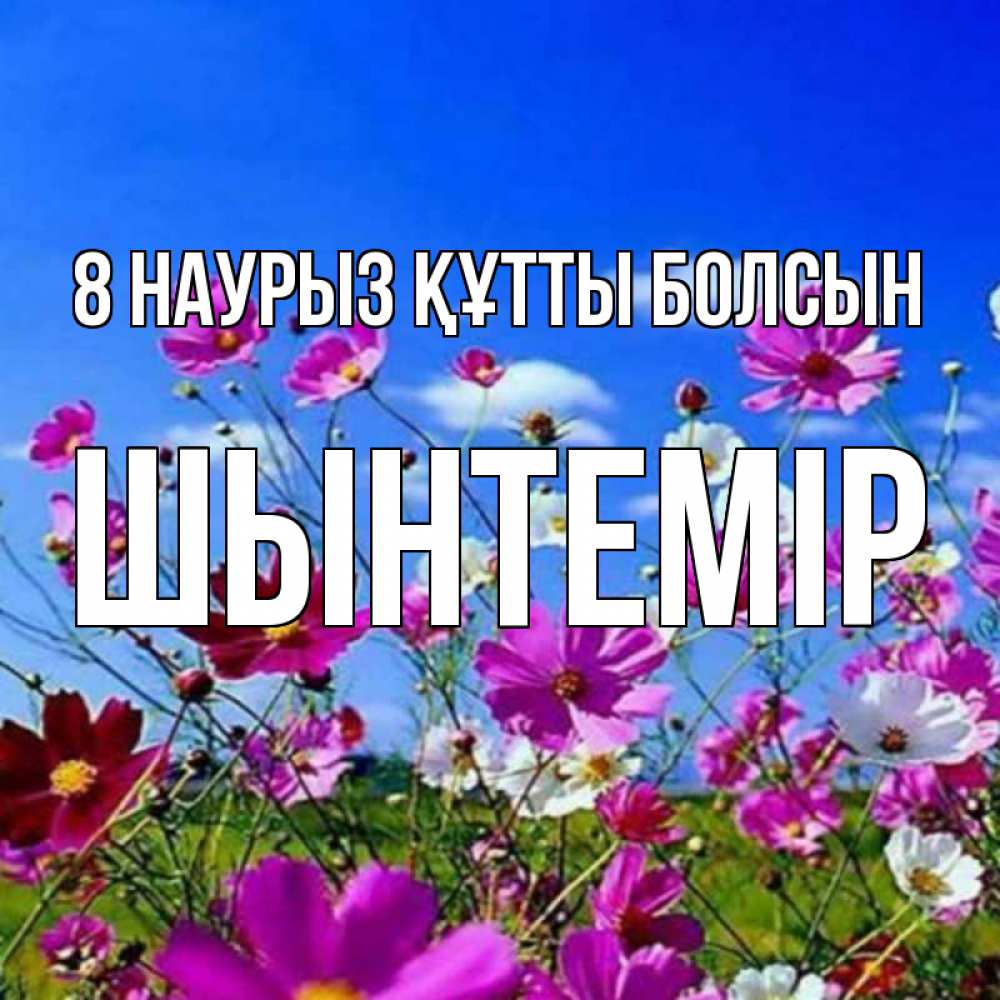 Күн сайын ашық хат с именем, ШЫНТЕМІР 8 наурыз құтты болсын цветы Онлайн тегін жүктеп алу тілектері бар керемет карта 
