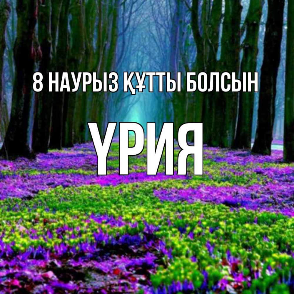 Күн сайын ашық хат с именем, ҮРИЯ 8 наурыз құтты болсын фиолетовые цветы в лесу 1 Онлайн тегін жүктеп алу тілектері бар керемет карта 