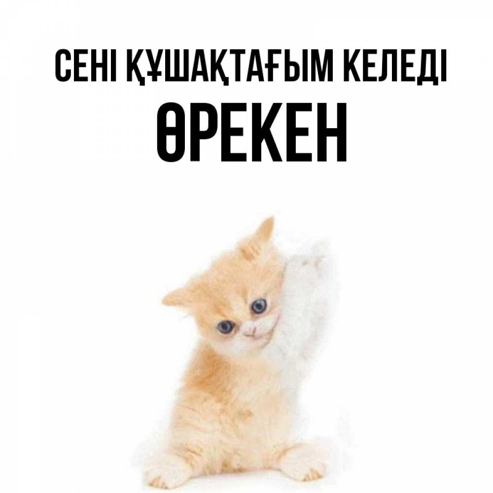 Күн сайын ашық хат с именем, ӨРЕКЕН сені құшақтағым келеді я хочу очень скорее обнимаешек Онлайн тегін жүктеп алу тілектері бар керемет карта 