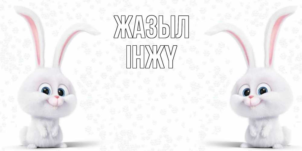 Күн сайын ашық хат с именем, ІНЖҮ Жазыл не болей с зайцем Онлайн тегін жүктеп алу тілектері бар керемет карта 