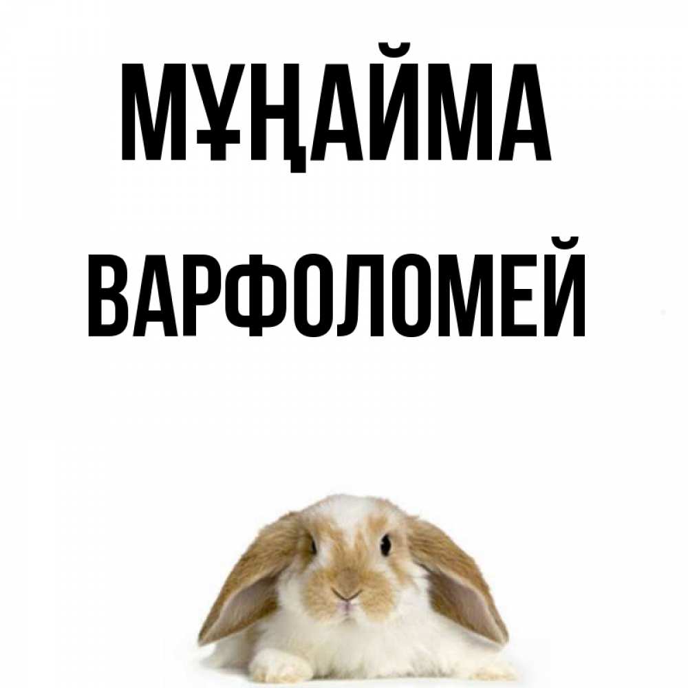 Күн сайын ашық хат с именем, Варфоломей Мұңайма коричнево белый заяц с большими ушками Онлайн тегін жүктеп алу тілектері бар керемет карта 