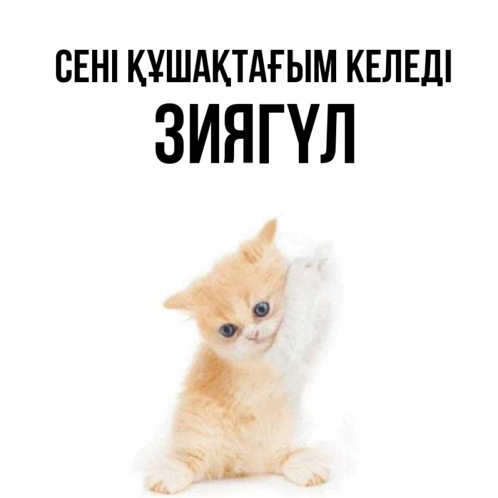 Күн сайын ашық хат с именем, ЗИЯГҮЛ сені құшақтағым келеді я хочу очень скорее обнимаешек Онлайн тегін жүктеп алу тілектері бар керемет карта 
