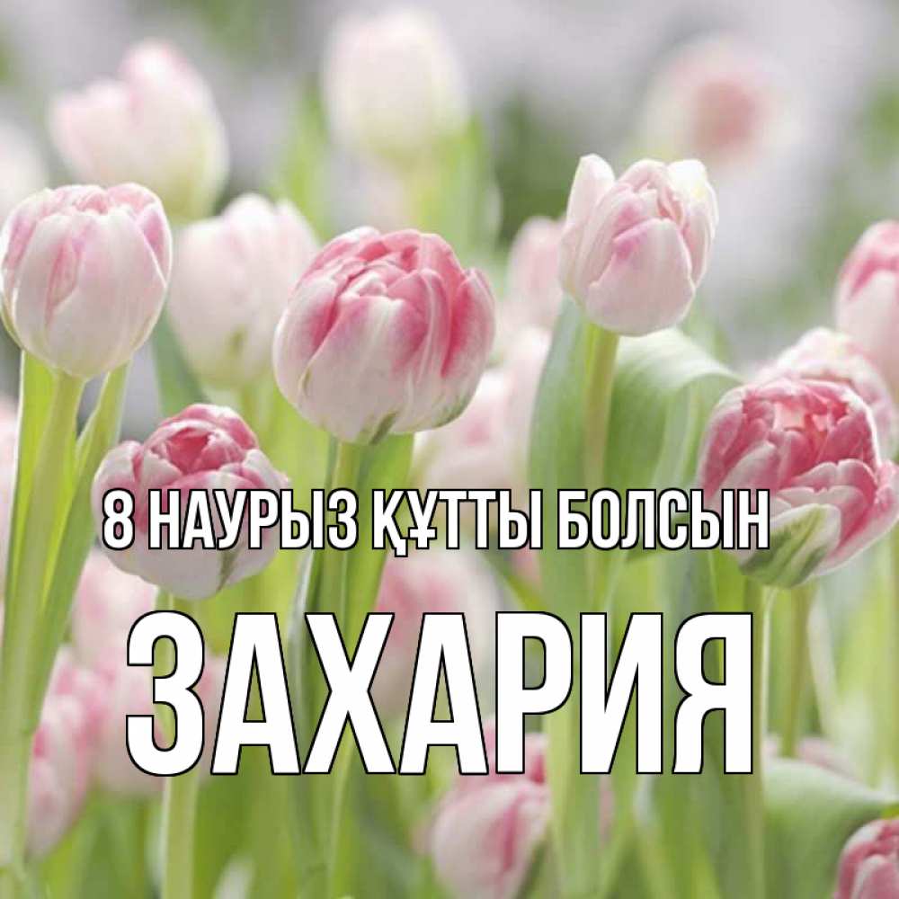 Күн сайын ашық хат с именем, Захария 8 наурыз құтты болсын цветы Онлайн тегін жүктеп алу тілектері бар керемет карта 
