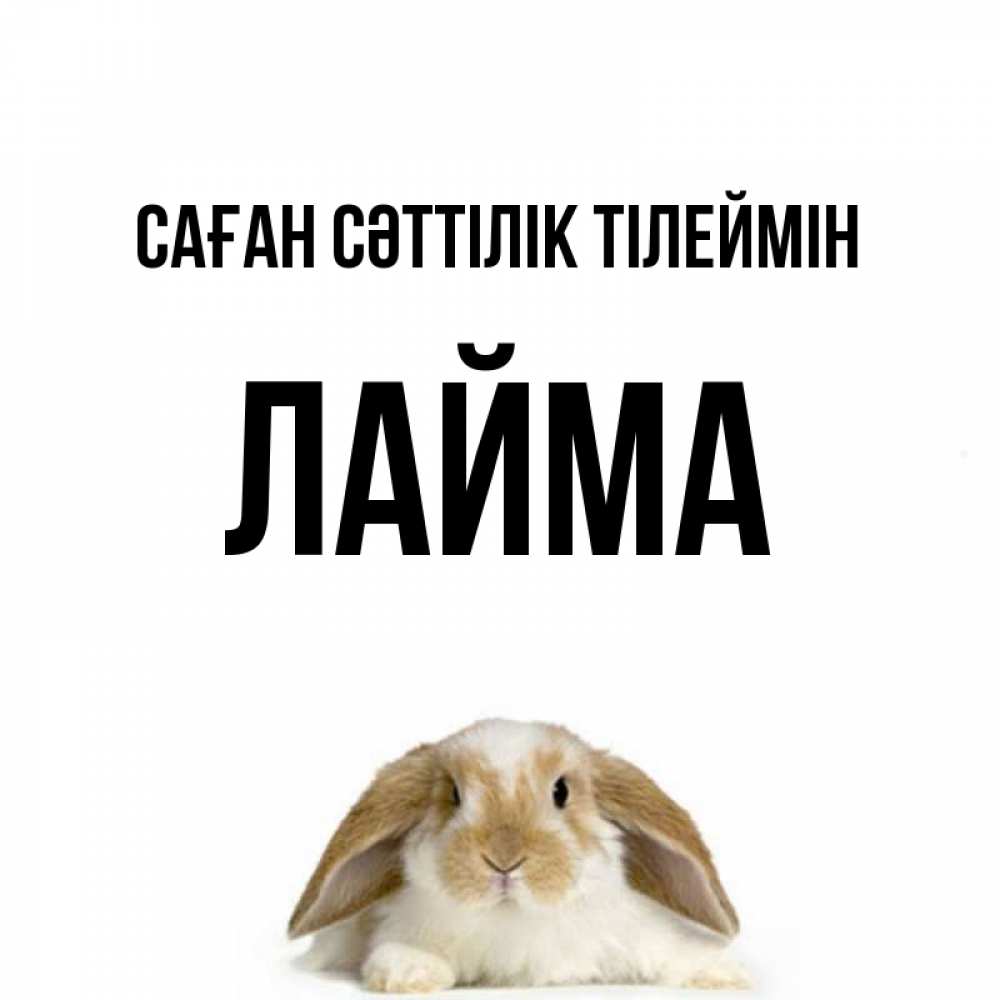 Күн сайын ашық хат с именем, Лайма Саған сәттілік тілеймін открытки с произвольным текстом который можно вставить в открытку и создать ее самостоятельно бесплатно онлайн Онлайн тегін жүктеп алу тілектері бар керемет карта 