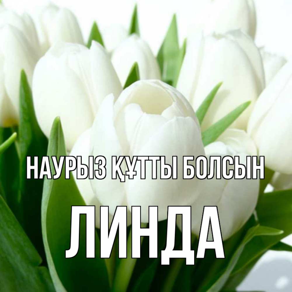 Күн сайын ашық хат с именем, Линда Наурыз құтты болсын цветы Онлайн тегін жүктеп алу тілектері бар керемет карта 