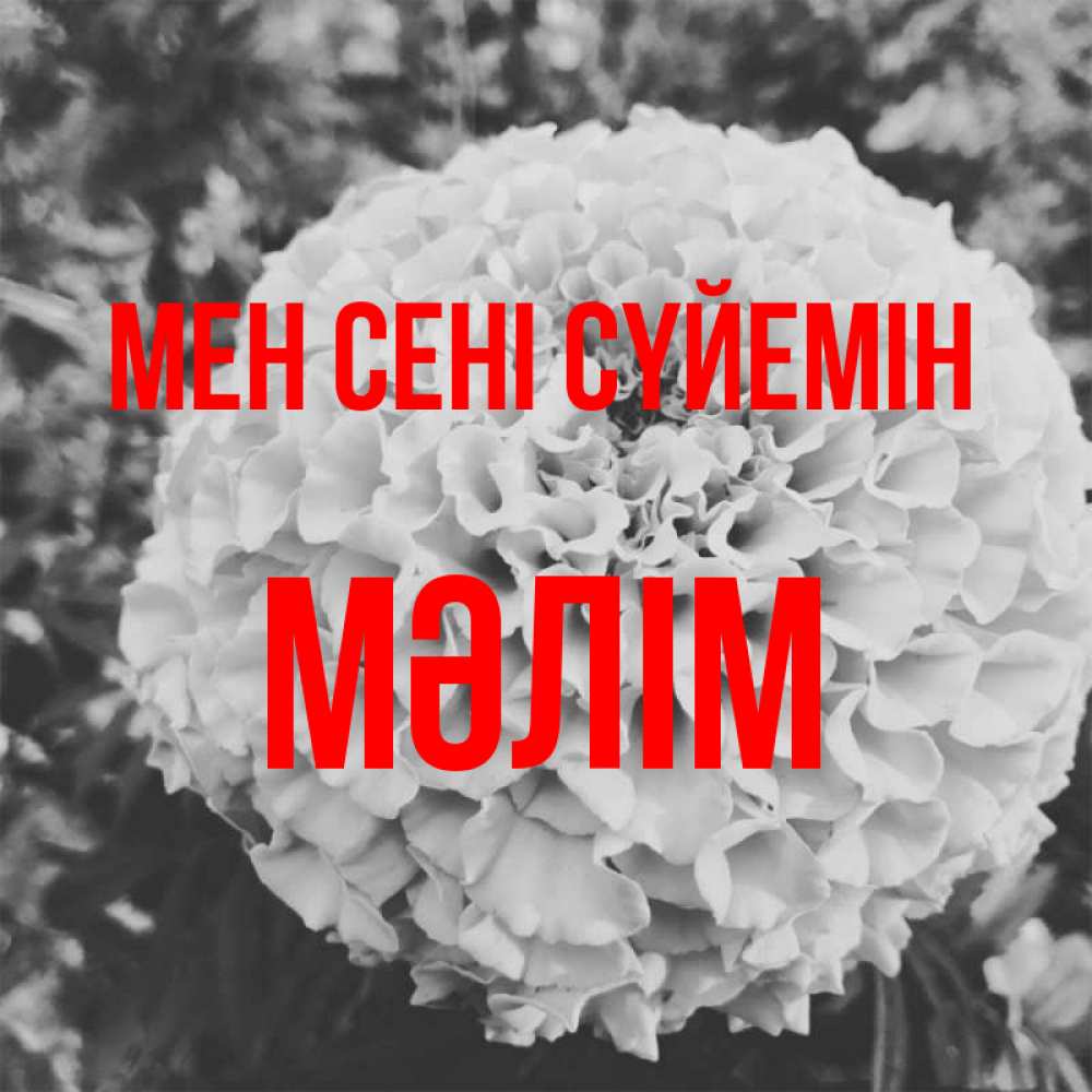 Күн сайын ашық хат с именем, МӘЛІМ Мен сені сүйемін подпись Онлайн тегін жүктеп алу тілектері бар керемет карта 