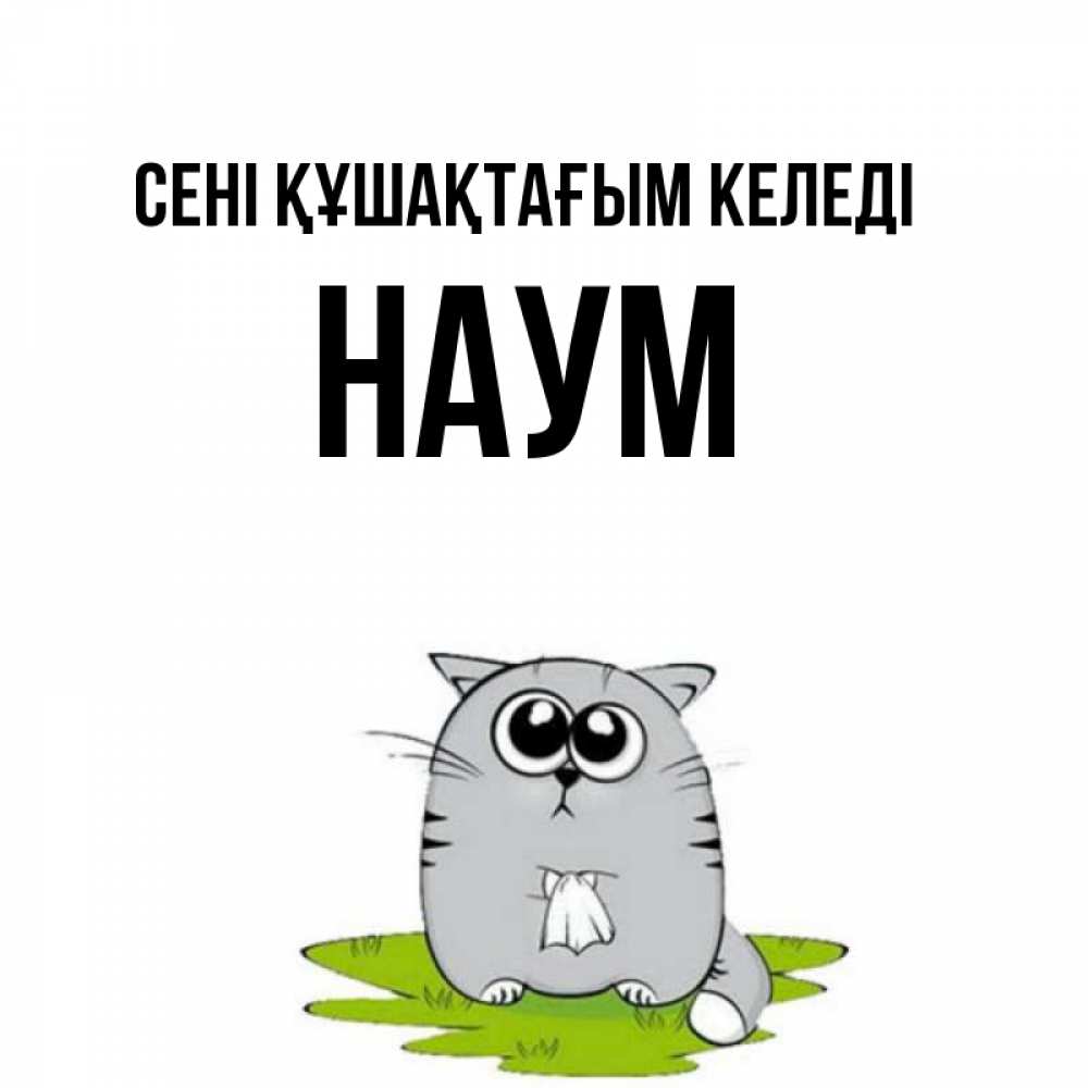 Күн сайын ашық хат с именем, Наум сені құшақтағым келеді котик теребит платочек сидя на травке Онлайн тегін жүктеп алу тілектері бар керемет карта 