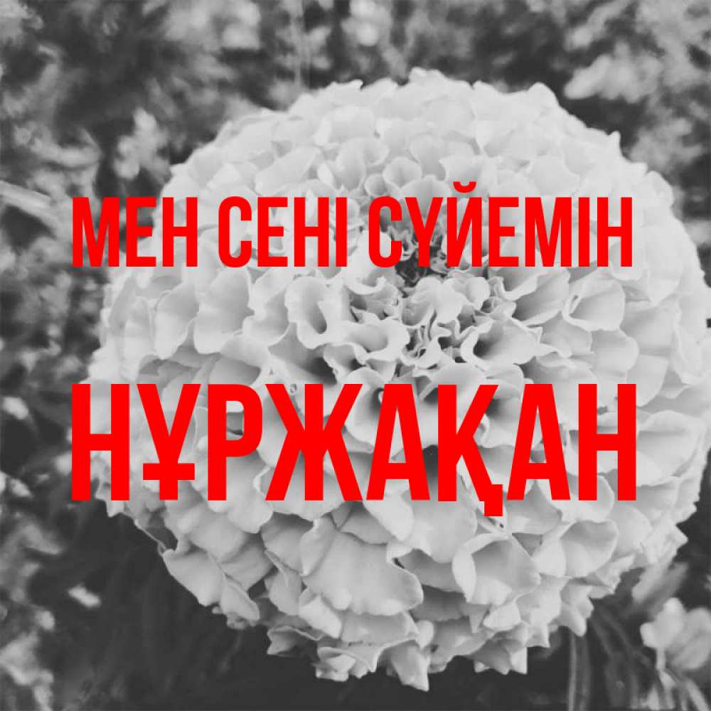 Күн сайын ашық хат с именем, НҰРЖАҚАН Мен сені сүйемін подпись Онлайн тегін жүктеп алу тілектері бар керемет карта 