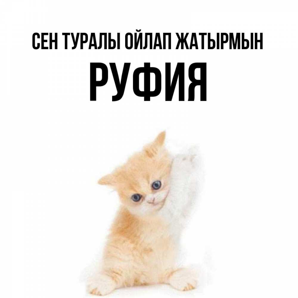 Күн сайын ашық хат с именем, РУФИЯ Сен туралы ойлап жатырмын зверушки и милота Онлайн тегін жүктеп алу тілектері бар керемет карта 