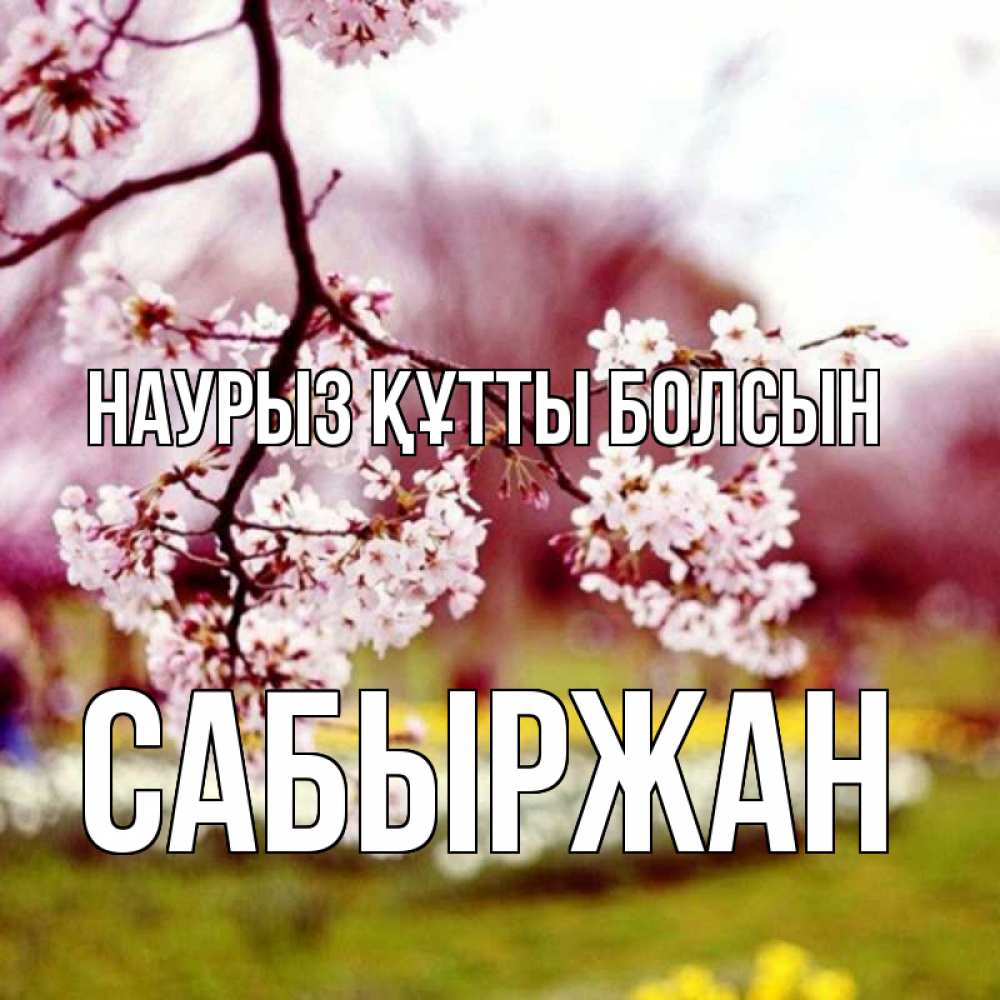 Күн сайын ашық хат с именем, САБЫРЖАН Наурыз құтты болсын яблоня Онлайн тегін жүктеп алу тілектері бар керемет карта 