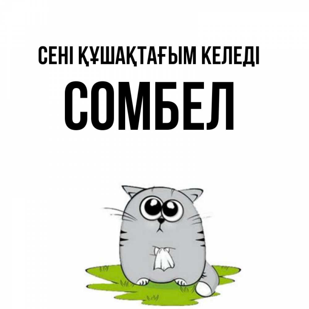 Күн сайын ашық хат с именем, СОМБЕЛ сені құшақтағым келеді котик теребит платочек сидя на травке Онлайн тегін жүктеп алу тілектері бар керемет карта 