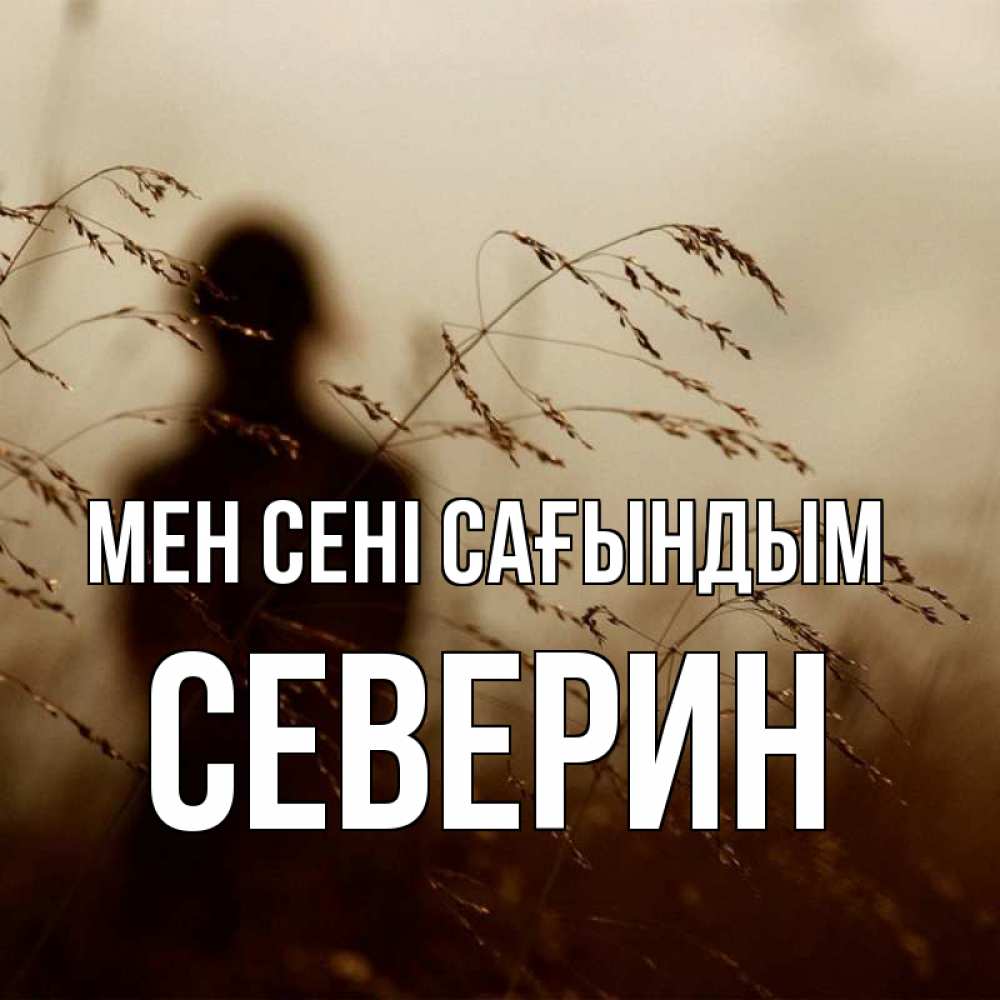 Күн сайын ашық хат с именем, Северин Мен сені сағындым силуэт девушки Онлайн тегін жүктеп алу тілектері бар керемет карта 