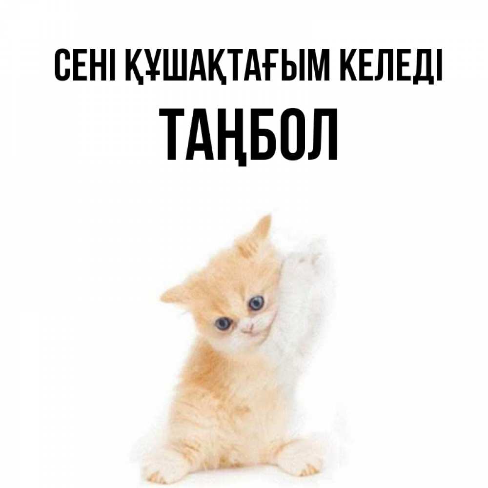Күн сайын ашық хат с именем, ТАҢБОЛ сені құшақтағым келеді я хочу очень скорее обнимаешек Онлайн тегін жүктеп алу тілектері бар керемет карта 