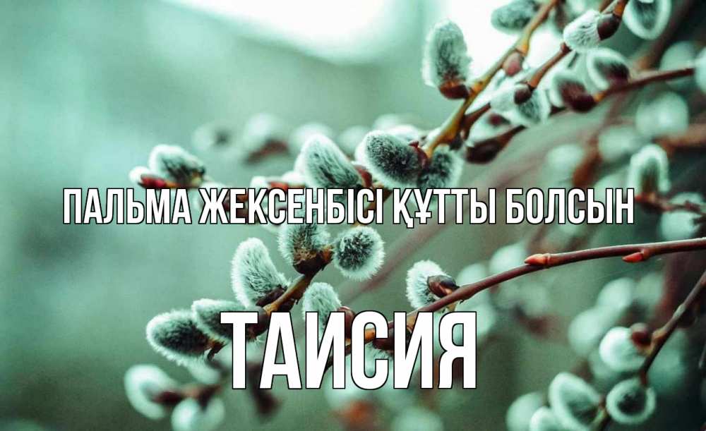 Күн сайын ашық хат с именем, Таисия Пальма жексенбісі құтты болсын верба Онлайн тегін жүктеп алу тілектері бар керемет карта 