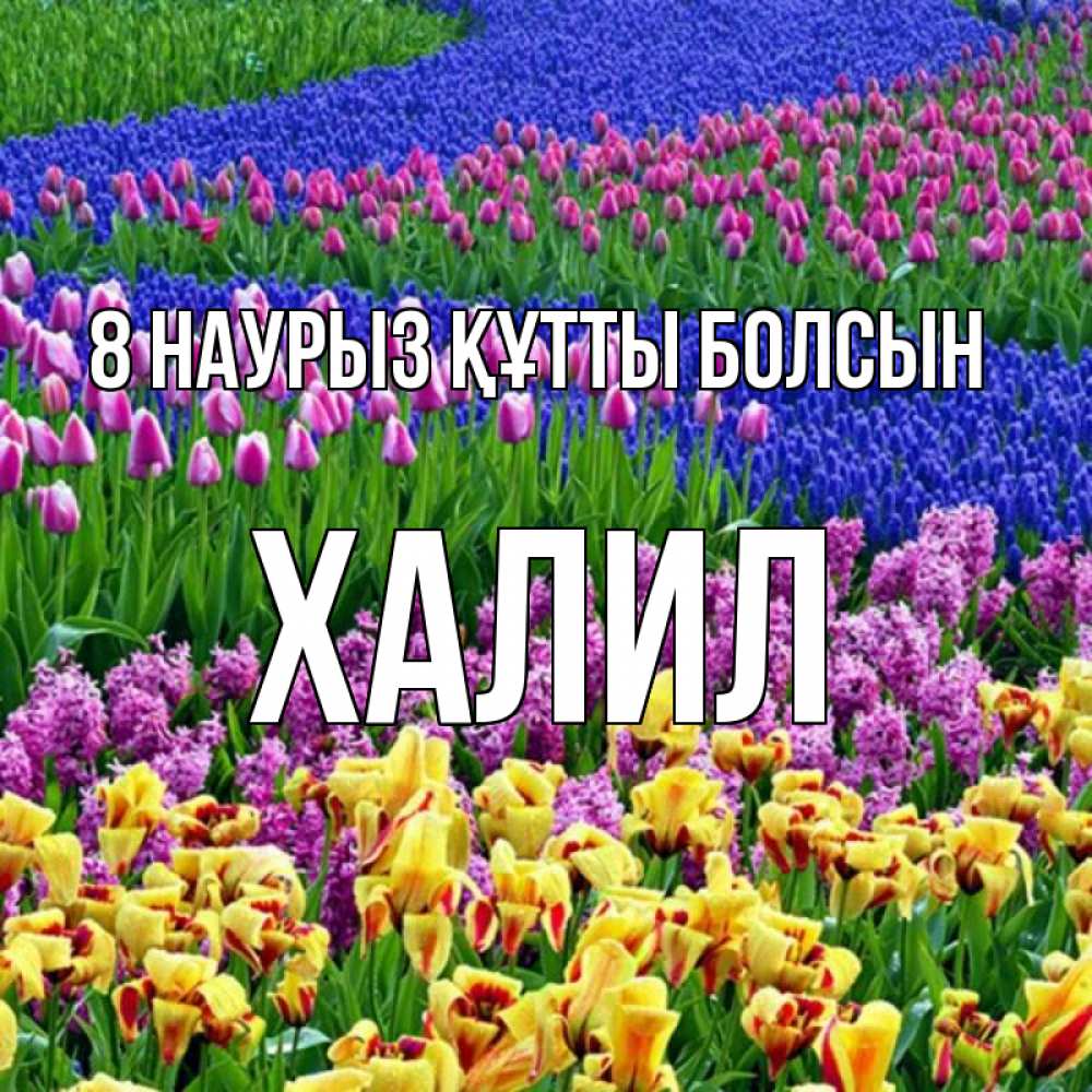 Күн сайын ашық хат с именем, ХАЛИЛ 8 наурыз құтты болсын цветы Онлайн тегін жүктеп алу тілектері бар керемет карта 