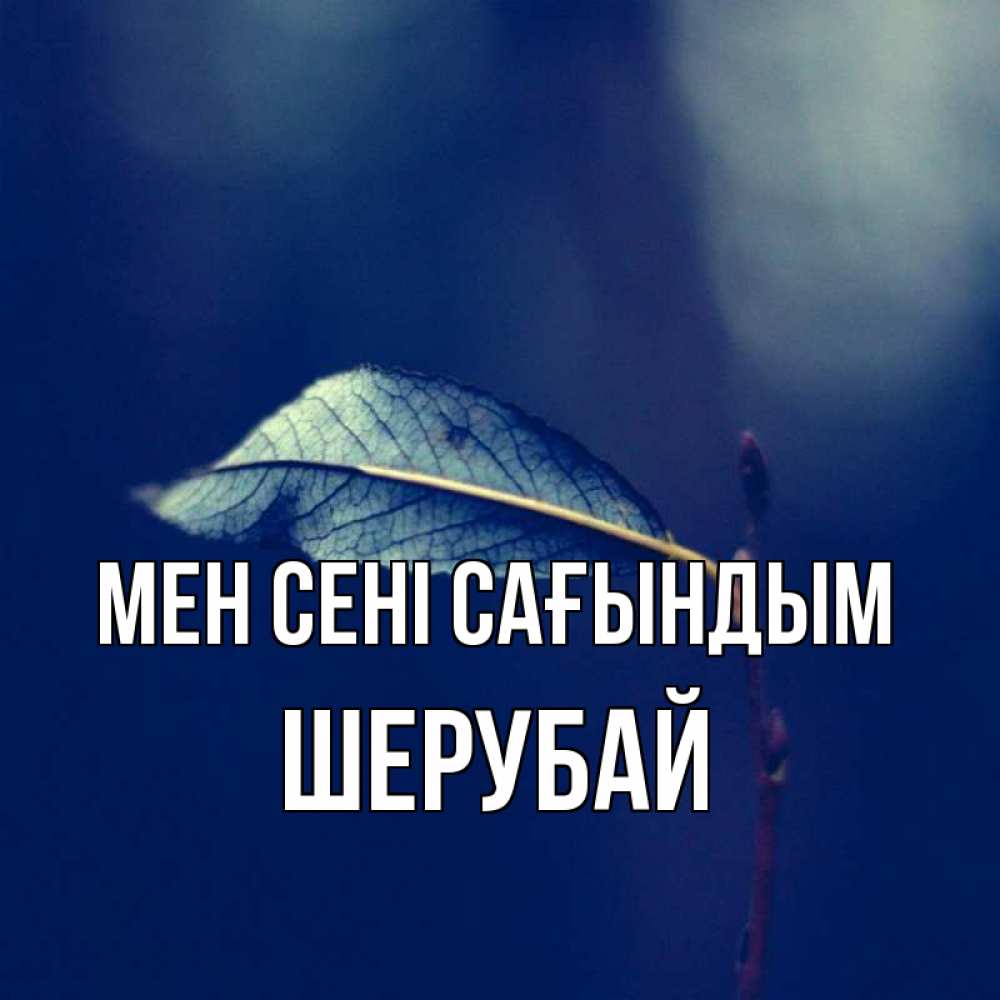 Күн сайын ашық хат с именем, ШЕРУБАЙ Мен сені сағындым одна ветка 1 Онлайн тегін жүктеп алу тілектері бар керемет карта 