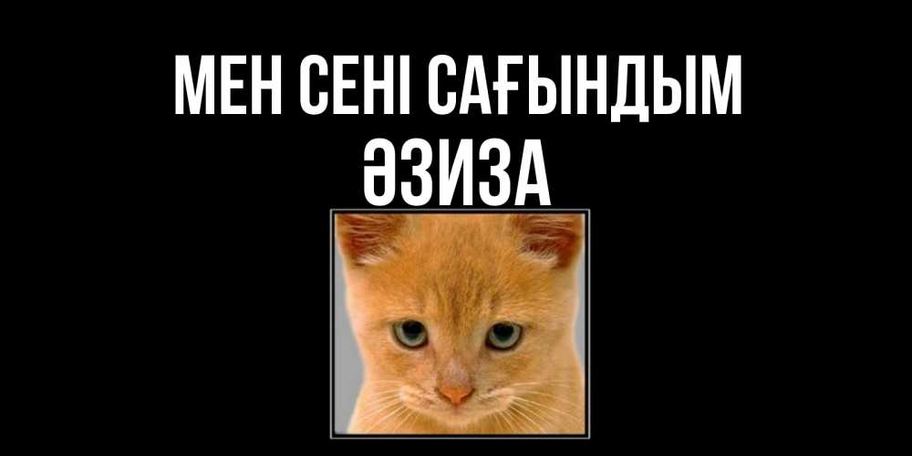 Күн сайын ашық хат с именем, ӘЗИЗА Мен сені сағындым открытки рыжий котенок скучает по тебе Онлайн тегін жүктеп алу тілектері бар керемет карта 