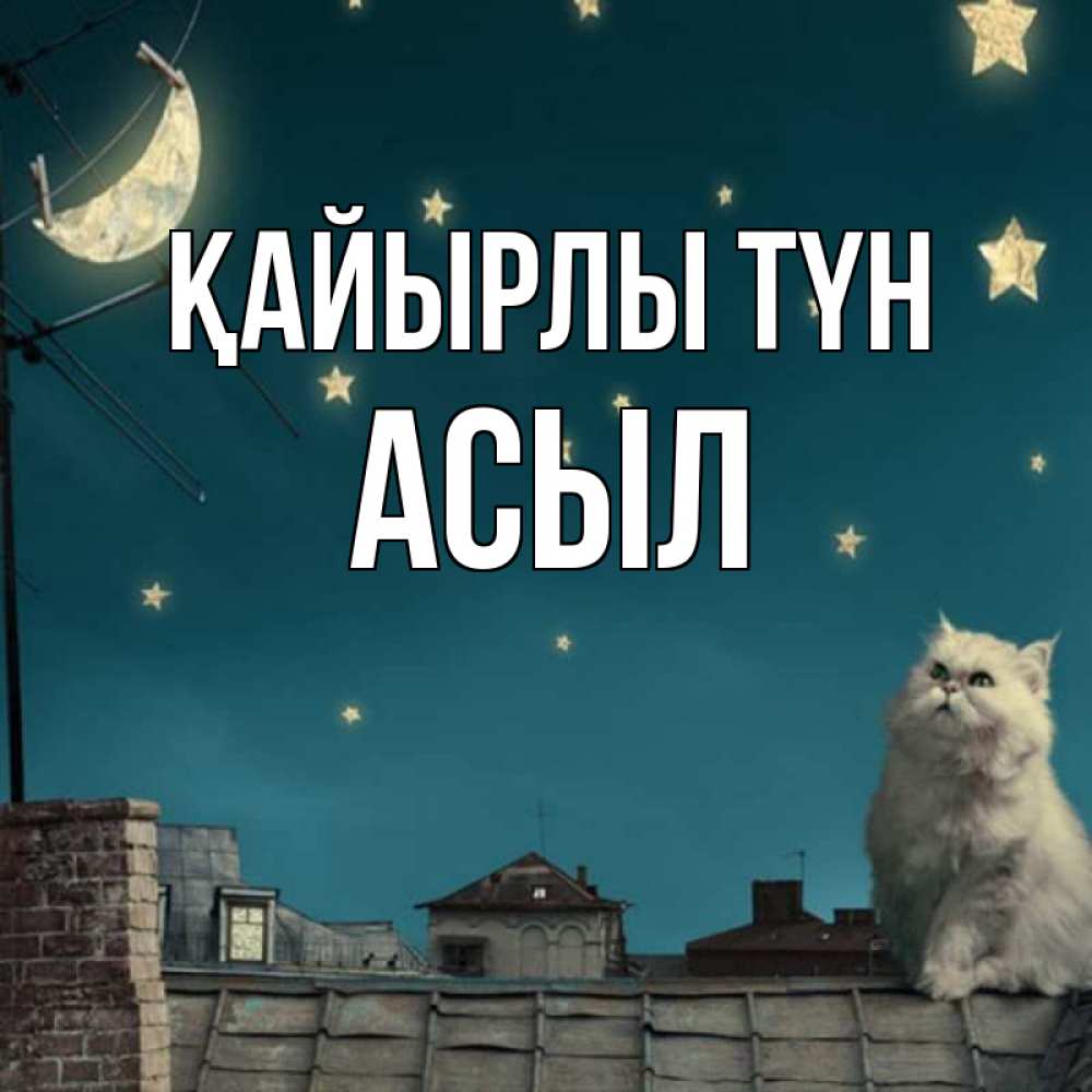Күн сайын ашық хат с именем, АСЫЛ Қайырлы түн белый кот сидит на крыше Онлайн тегін жүктеп алу тілектері бар керемет карта 