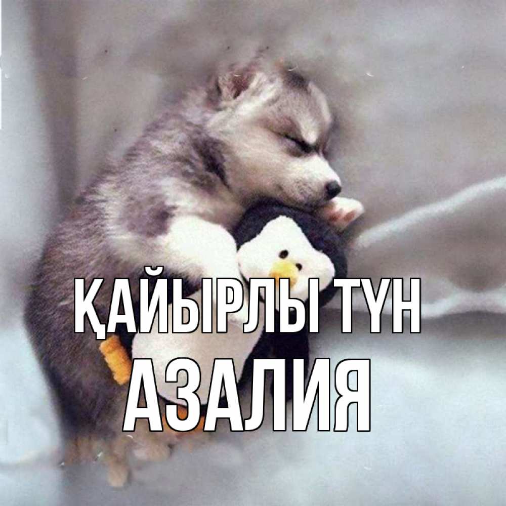 Күн сайын ашық хат с именем, Азалия Қайырлы түн обнимашки щенка и пингвина Онлайн тегін жүктеп алу тілектері бар керемет карта 