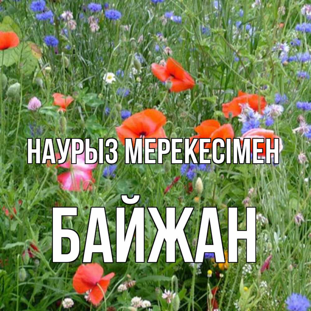 Күн сайын ашық хат с именем, Байжан Наурыз мерекесімен праздник весны наурыз супер открытка Онлайн тегін жүктеп алу тілектері бар керемет карта 