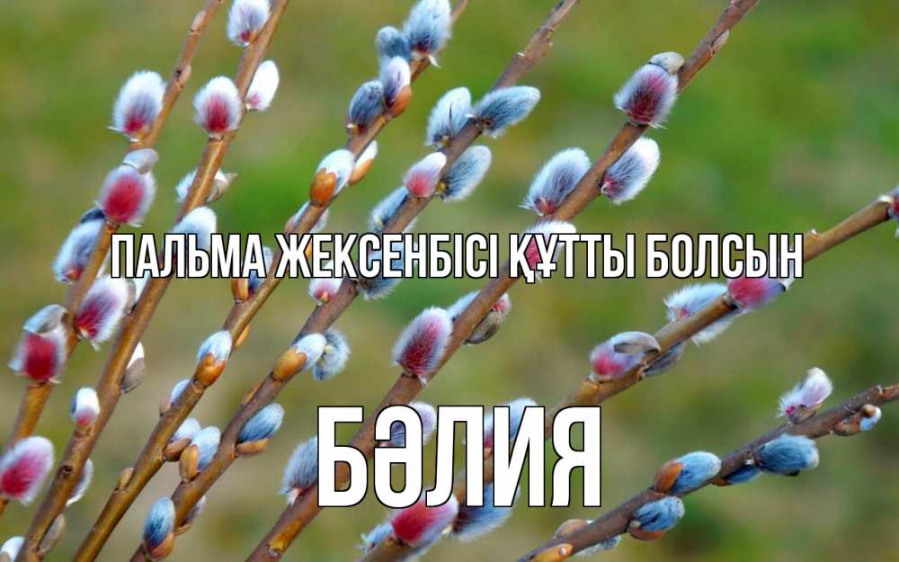 Күн сайын ашық хат с именем, БӘЛИЯ Пальма жексенбісі құтты болсын верба Онлайн тегін жүктеп алу тілектері бар керемет карта 