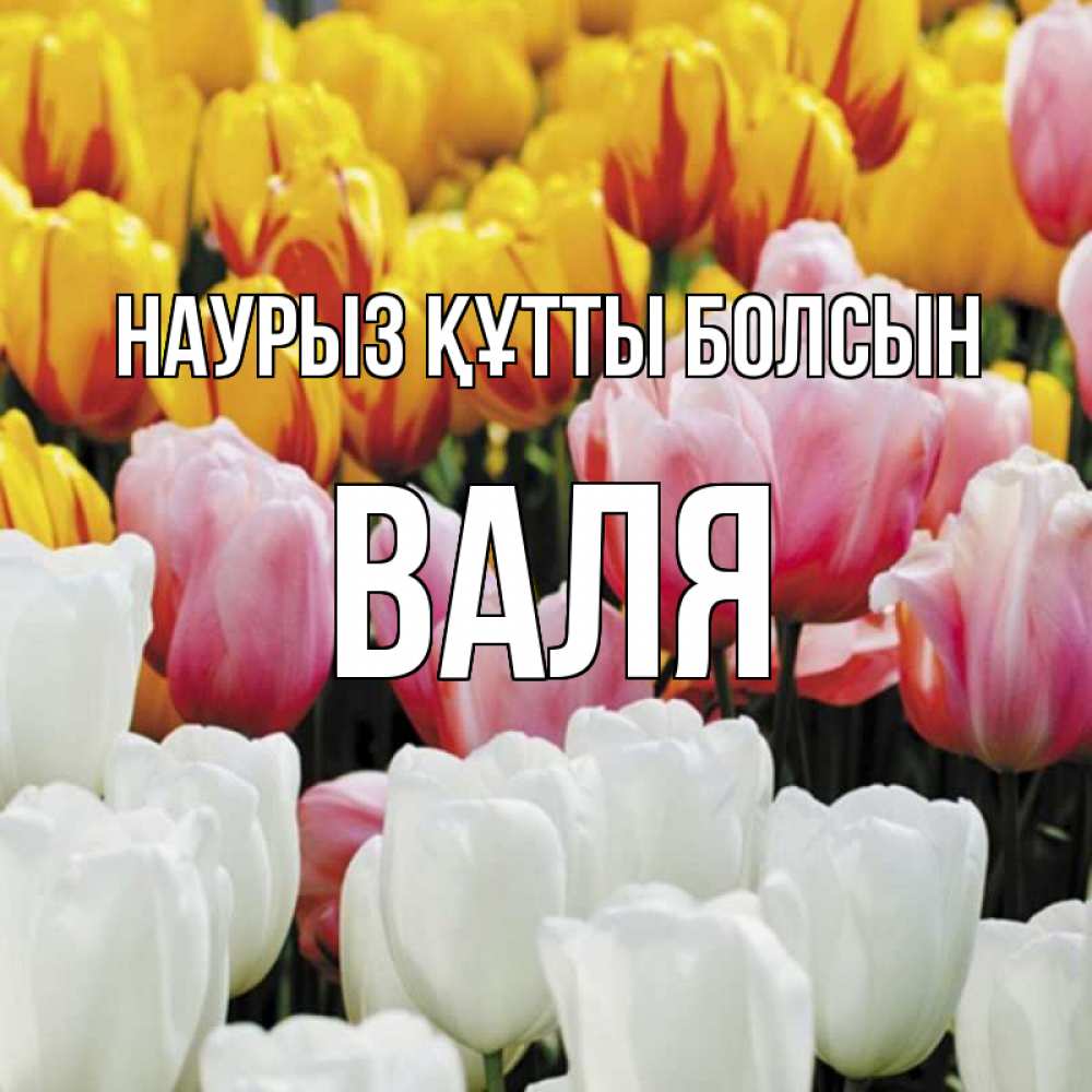 Күн сайын ашық хат с именем, Валя Наурыз құтты болсын разноцветные цветы Онлайн тегін жүктеп алу тілектері бар керемет карта 