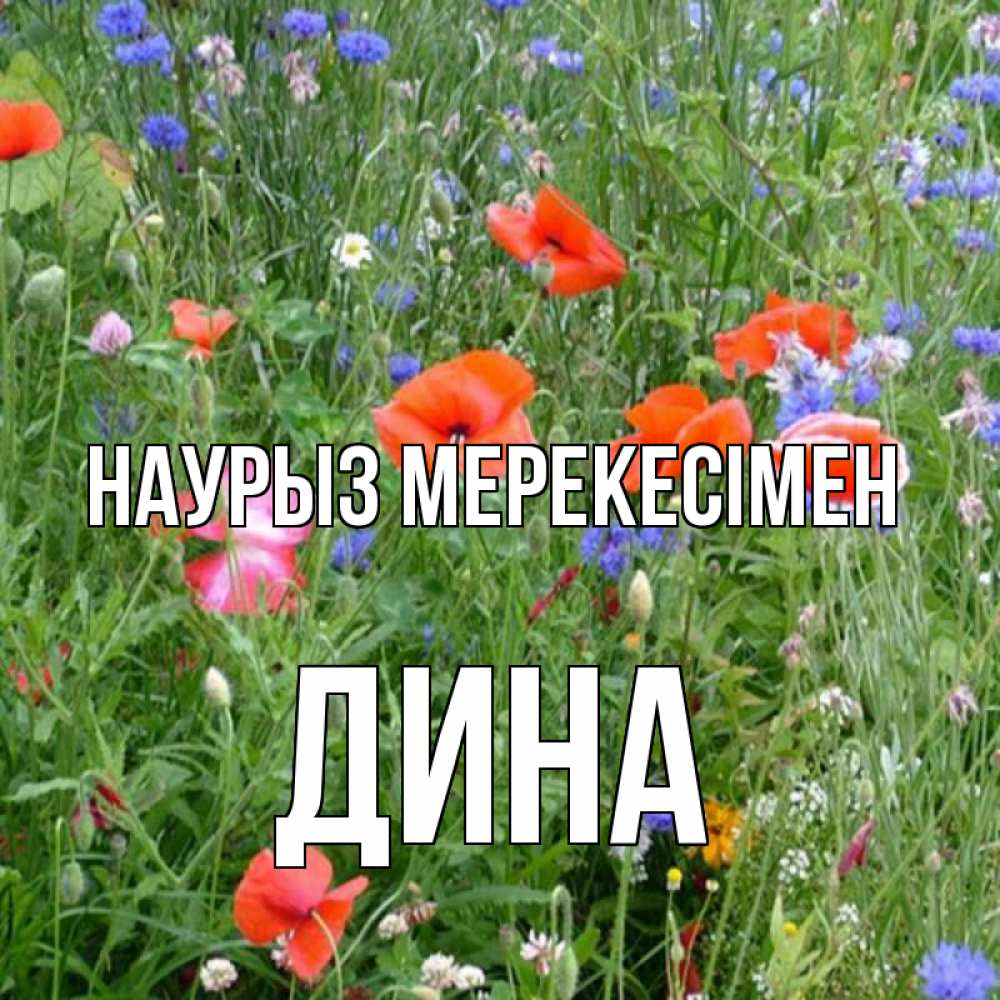 Күн сайын ашық хат с именем, Дина Наурыз мерекесімен праздник весны наурыз супер открытка Онлайн тегін жүктеп алу тілектері бар керемет карта 