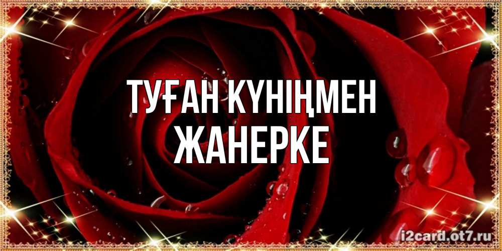 Күн сайын ашық хат с именем, ЖАНЕРКЕ Туған күніңмен цветок в росе на день рождения Онлайн тегін жүктеп алу тілектері бар керемет карта 