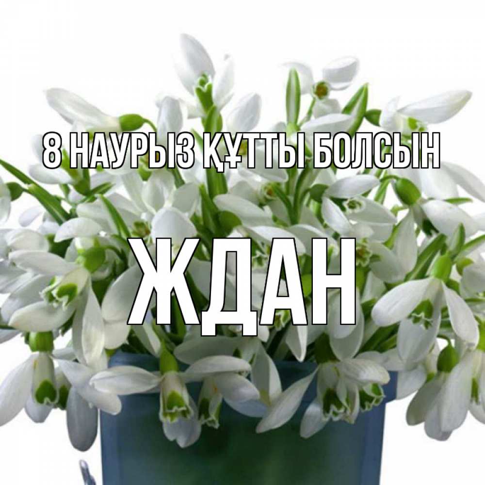 Күн сайын ашық хат с именем, Ждан 8 наурыз құтты болсын цветы к международному женскому дню Онлайн тегін жүктеп алу тілектері бар керемет карта 