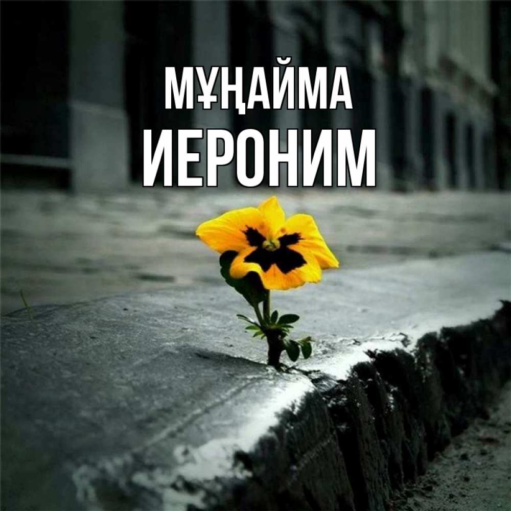 Күн сайын ашық хат с именем, Иероним Мұңайма не сдавайся Онлайн тегін жүктеп алу тілектері бар керемет карта 