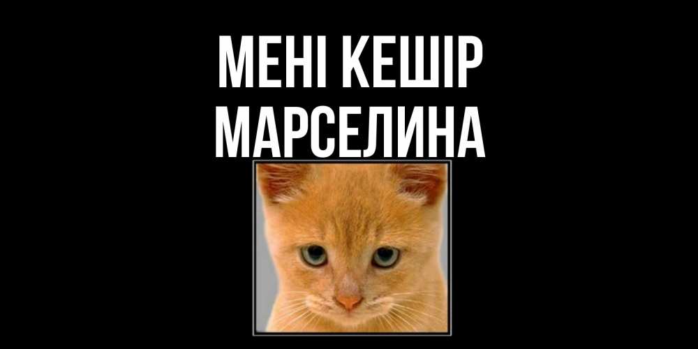 Күн сайын ашық хат с именем, Марселина Мені кешір рыжий грустный кот просит прощения Онлайн тегін жүктеп алу тілектері бар керемет карта 