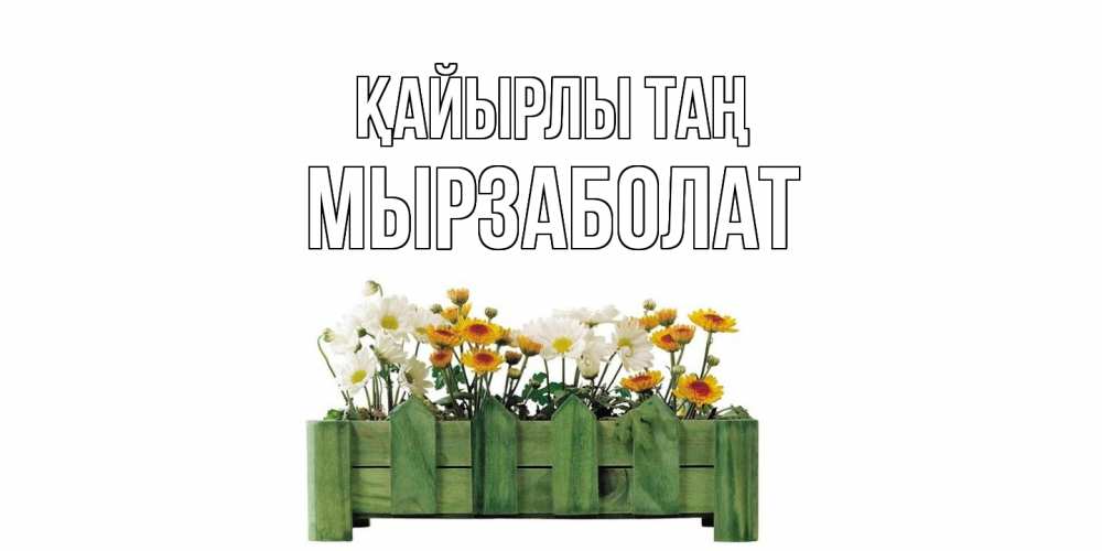 Күн сайын ашық хат с именем, Мырзаболат Қайырлы таң цветы Онлайн тегін жүктеп алу тілектері бар керемет карта 