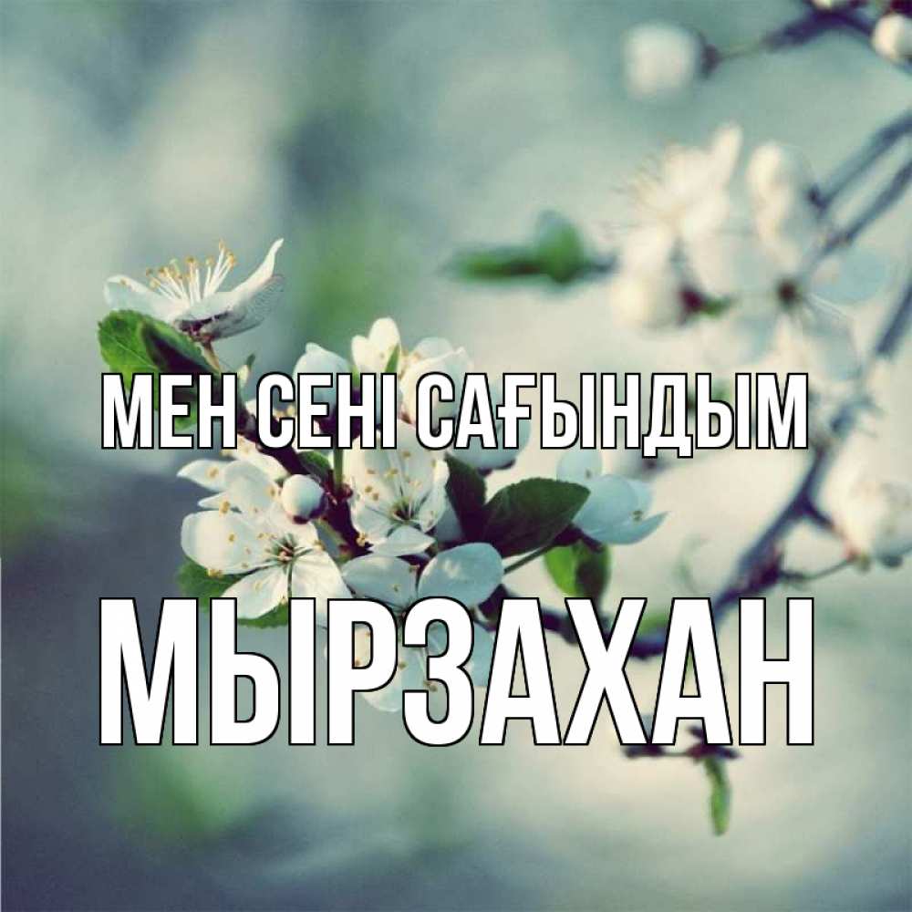 Күн сайын ашық хат с именем, Мырзахан Мен сені сағындым весна Онлайн тегін жүктеп алу тілектері бар керемет карта 