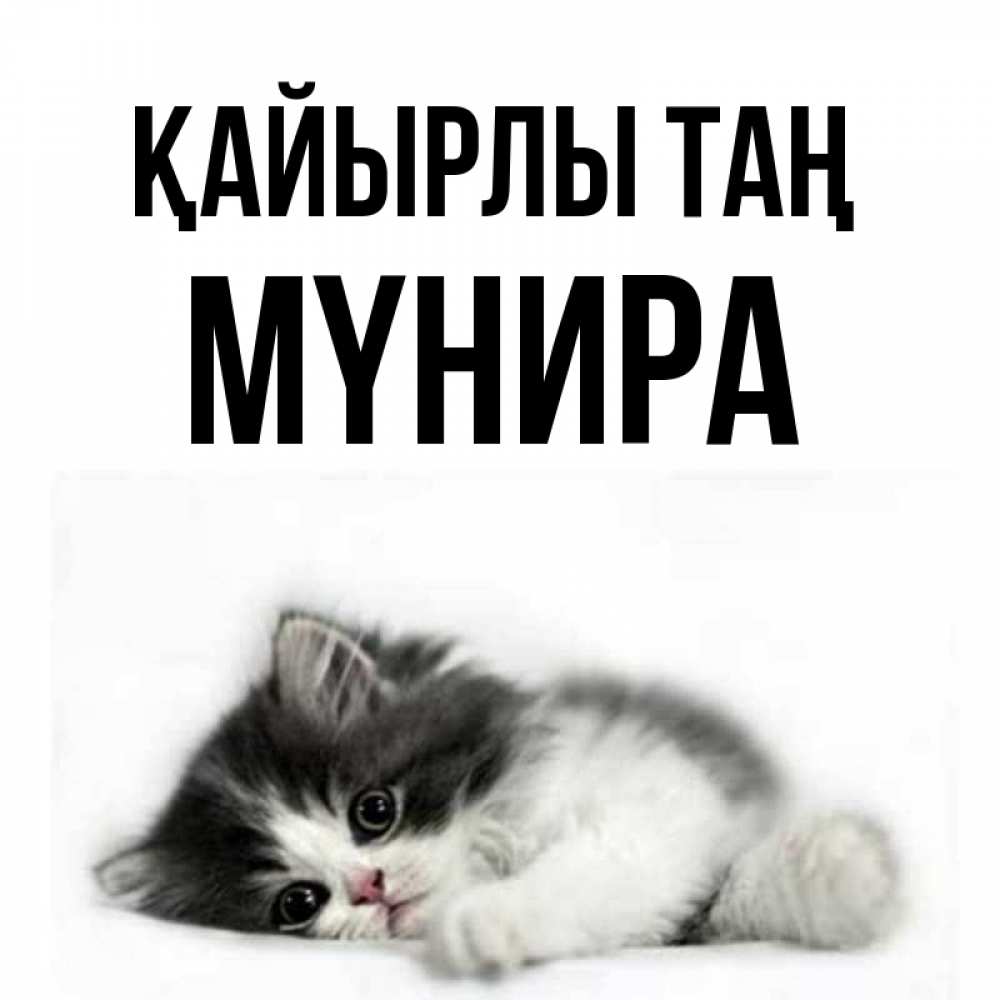 Күн сайын ашық хат с именем, МҮНИРА Қайырлы таң кот лапки Онлайн тегін жүктеп алу тілектері бар керемет карта 