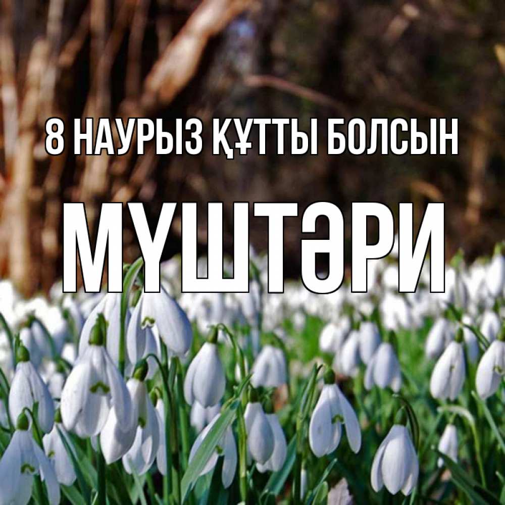 Күн сайын ашық хат с именем, МҮШТӘРИ 8 наурыз құтты болсын с подснежниками 1 Онлайн тегін жүктеп алу тілектері бар керемет карта 