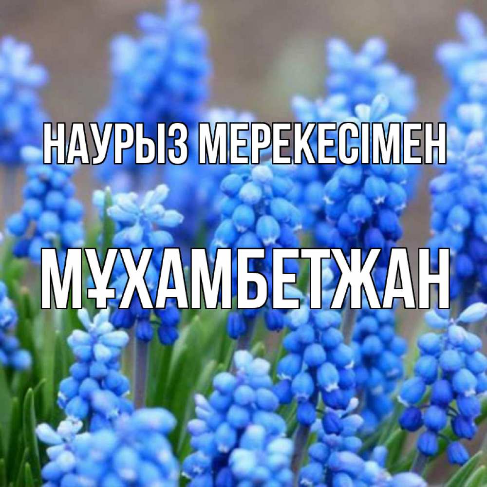Күн сайын ашық хат с именем, МҰХАМБЕТЖАН Наурыз мерекесімен Поздравительная открытка для женщин с цветами на праздничную дату Онлайн тегін жүктеп алу тілектері бар керемет карта 