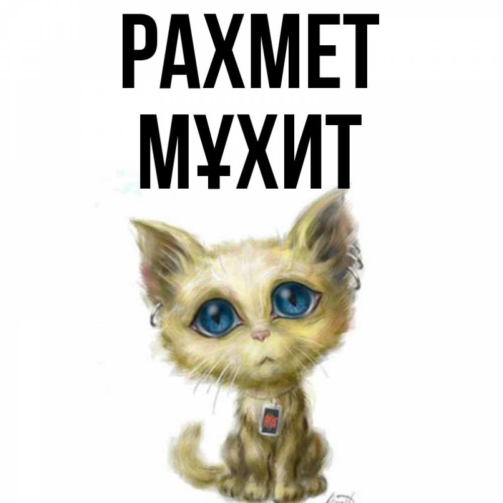 Күн сайын ашық хат с именем, МҰХИТ рахмет рисованный кот благодарит вас Онлайн тегін жүктеп алу тілектері бар керемет карта 