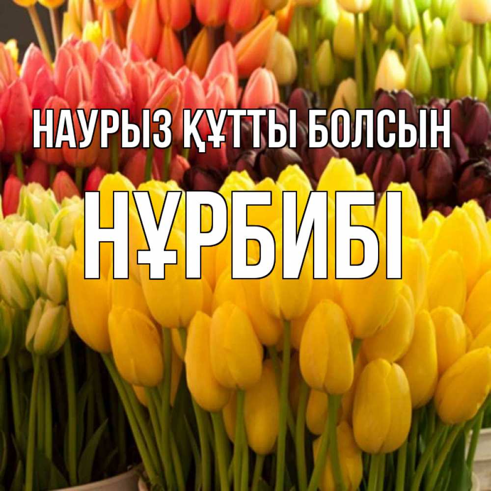 Күн сайын ашық хат с именем, НҰРБИБІ Наурыз құтты болсын цветы Онлайн тегін жүктеп алу тілектері бар керемет карта 