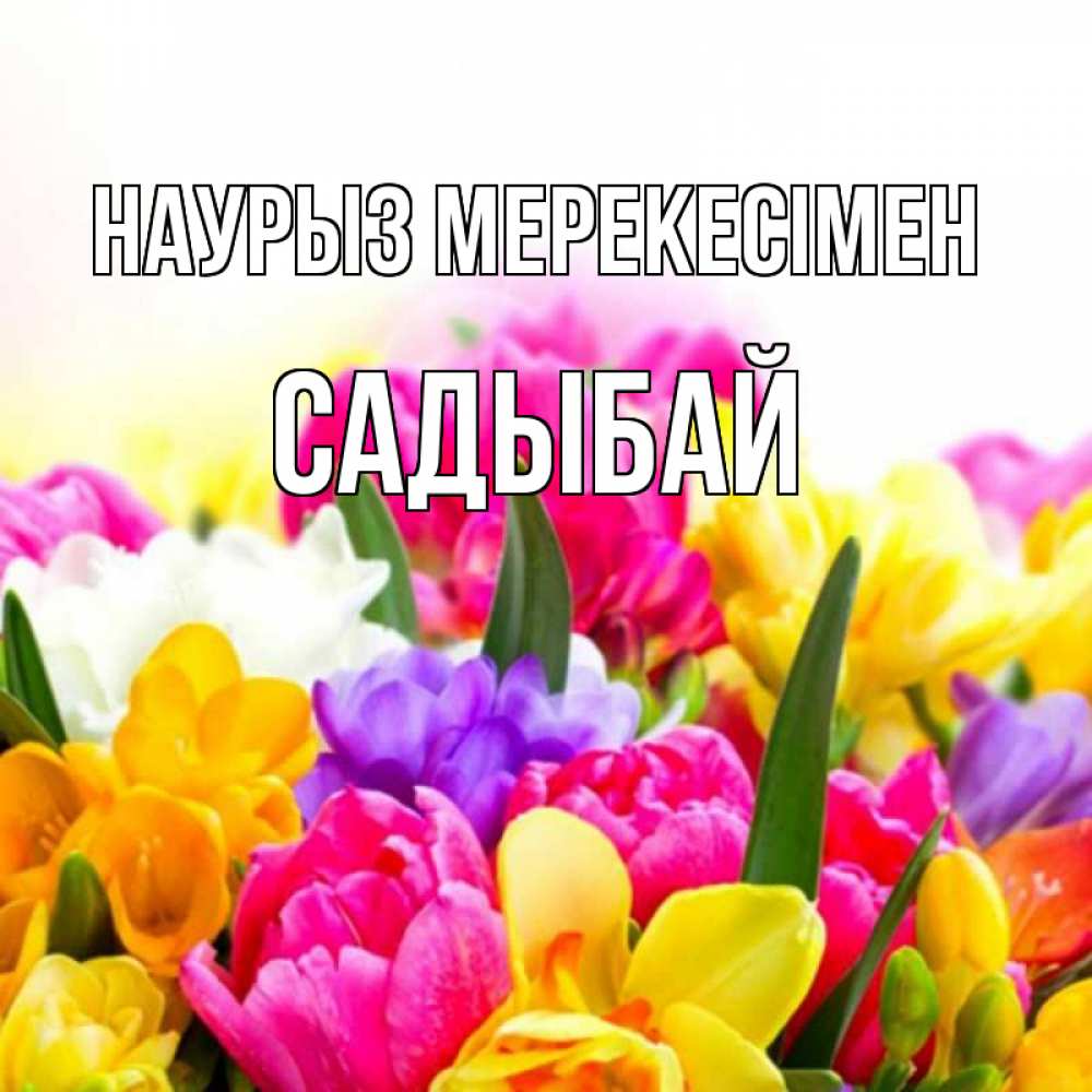 Күн сайын ашық хат с именем, САДЫБАЙ Наурыз мерекесімен тюльпаны Онлайн тегін жүктеп алу тілектері бар керемет карта 