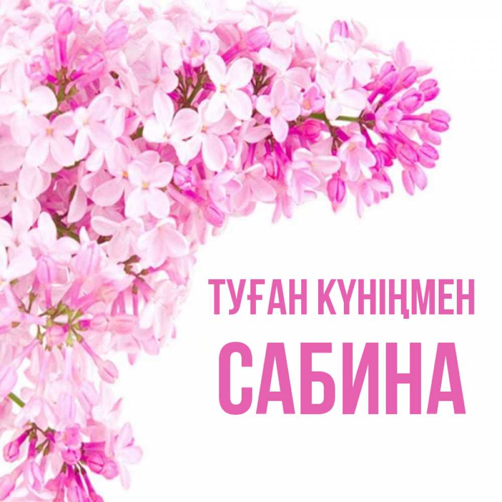 Күн сайын ашық хат с именем, Сабина Туған күніңмен Сирень на белом фоне Онлайн тегін жүктеп алу тілектері бар керемет карта 