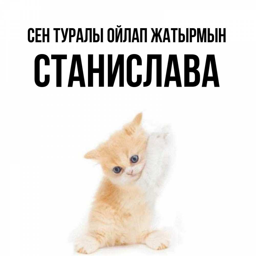 Күн сайын ашық хат с именем, Станислава Сен туралы ойлап жатырмын зверушки и милота Онлайн тегін жүктеп алу тілектері бар керемет карта 