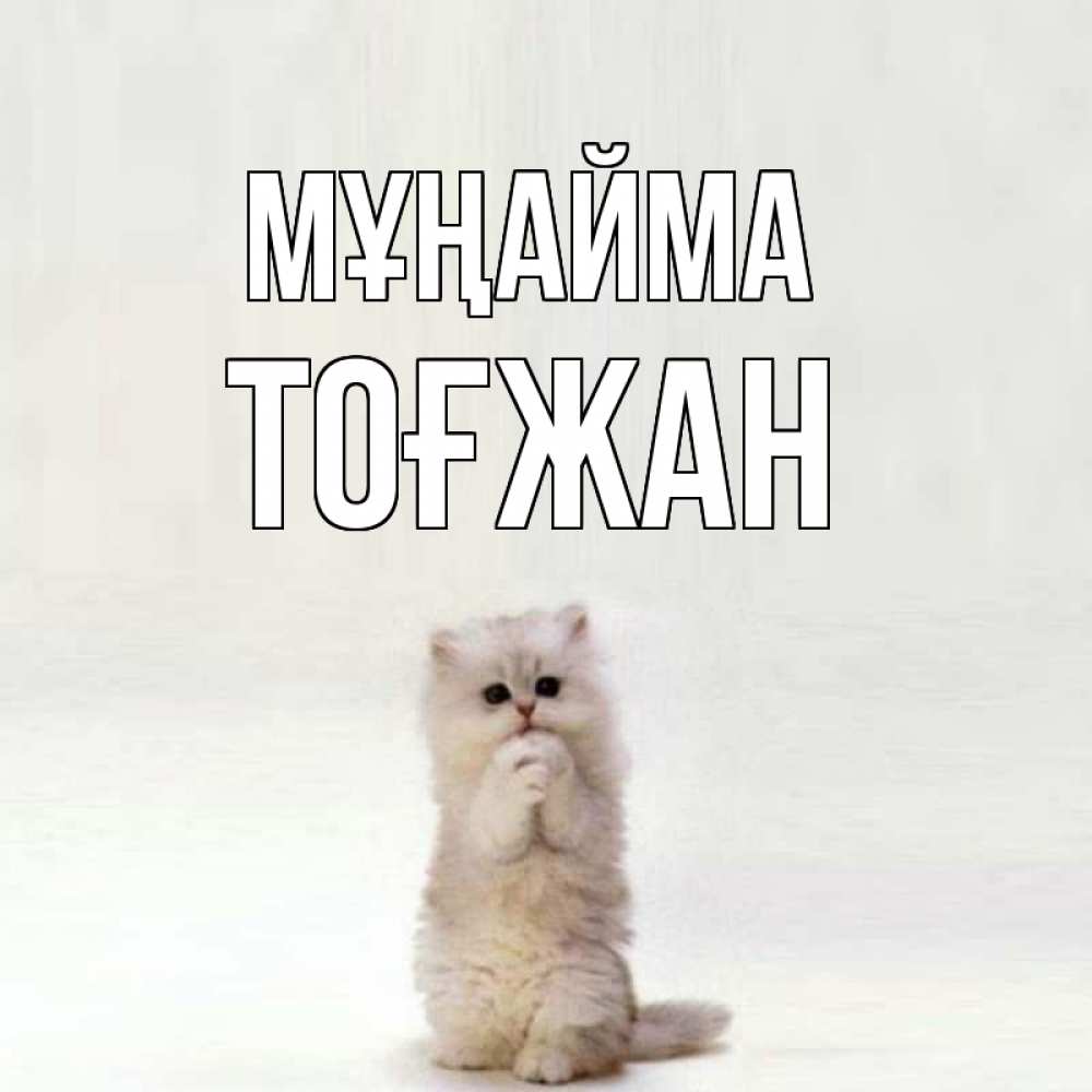 Күн сайын ашық хат с именем, ТОҒЖАН Мұңайма грустный кот Онлайн тегін жүктеп алу тілектері бар керемет карта 