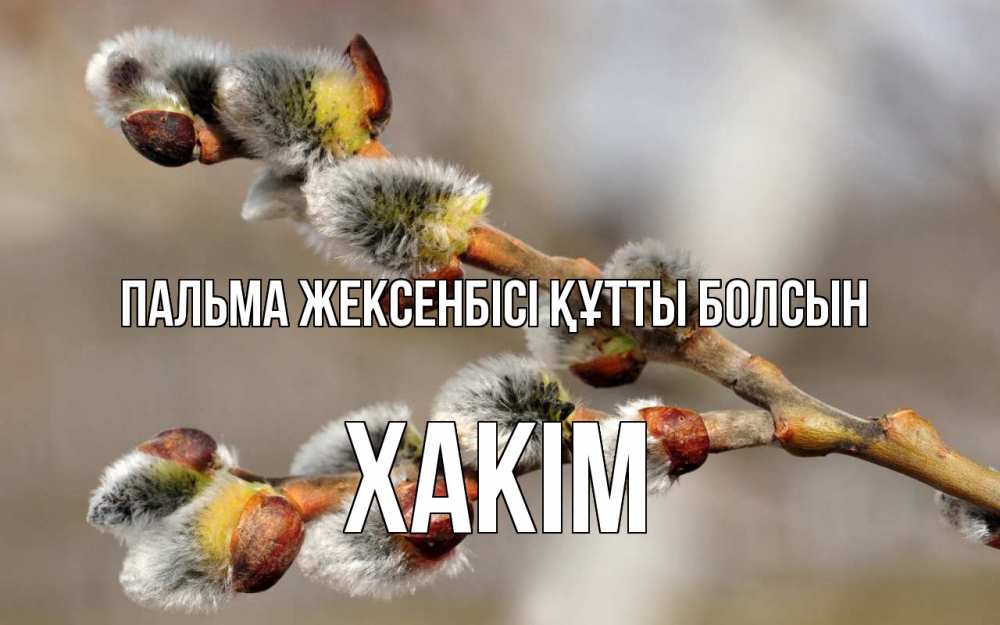 Күн сайын ашық хат с именем, ХАКІМ Пальма жексенбісі құтты болсын Верба Онлайн тегін жүктеп алу тілектері бар керемет карта 