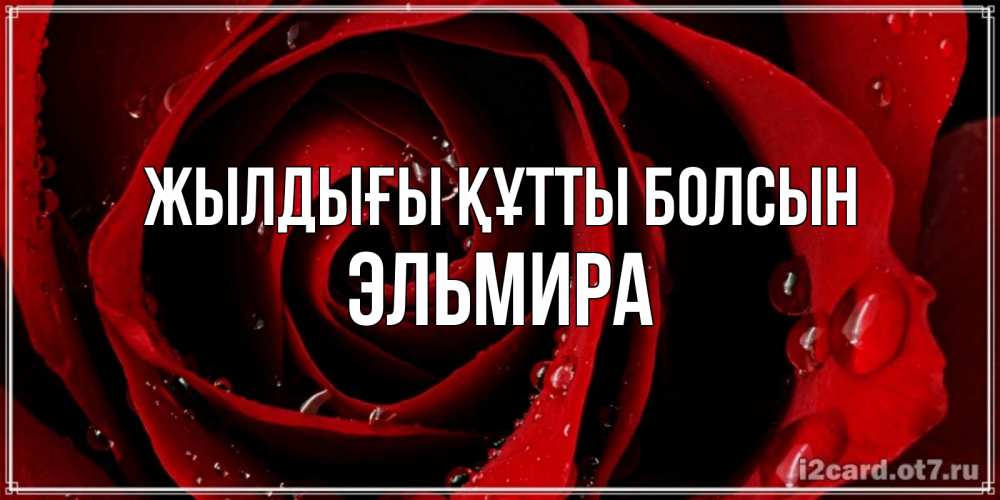 Күн сайын ашық хат с именем, Эльмира Жылдығы құтты болсын крупная бордовая роза Онлайн тегін жүктеп алу тілектері бар керемет карта 