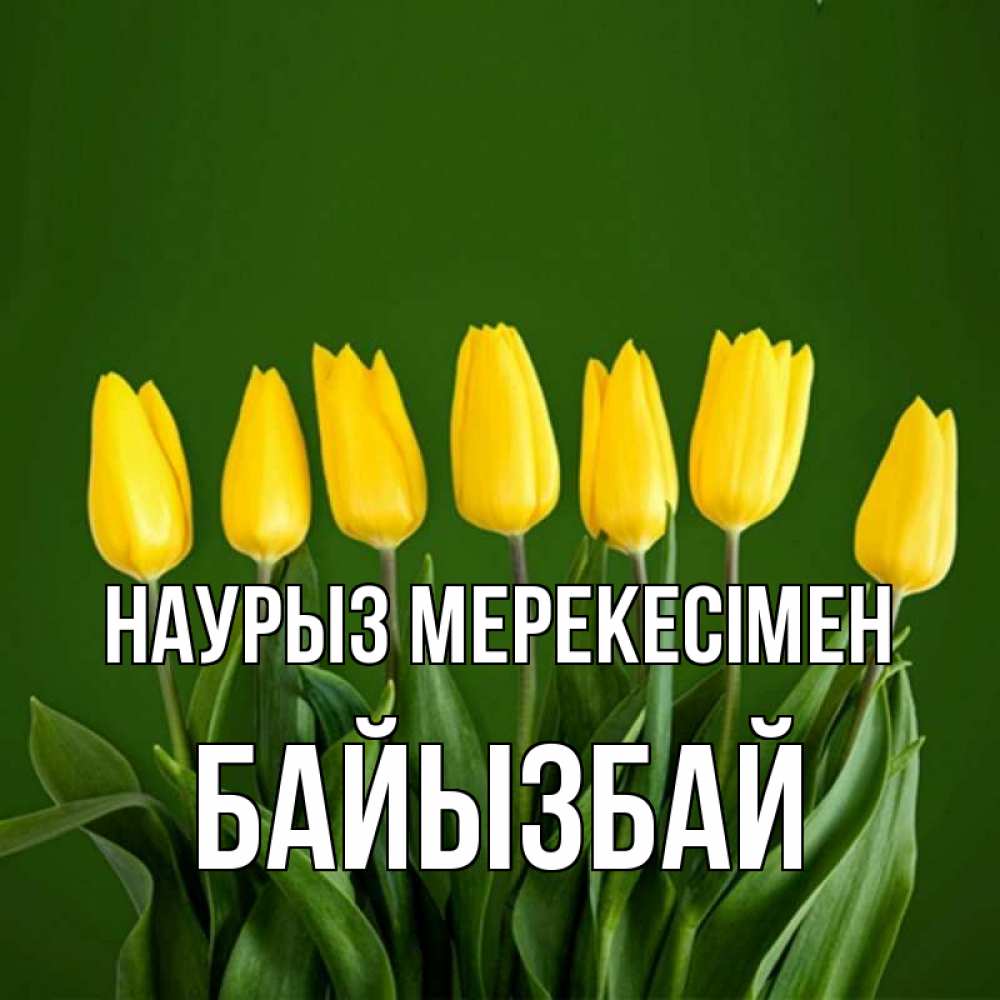 Күн сайын ашық хат с именем, Байызбай Наурыз мерекесімен желтого цвета 3 Онлайн тегін жүктеп алу тілектері бар керемет карта 