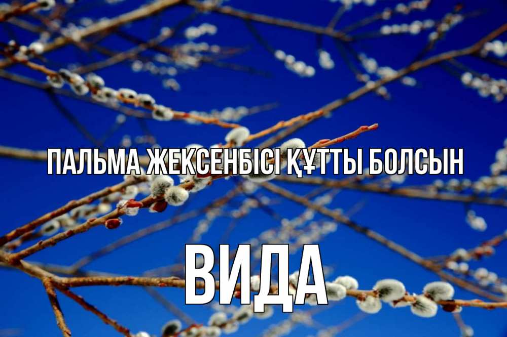 Күн сайын ашық хат с именем, Вида Пальма жексенбісі құтты болсын верба Онлайн тегін жүктеп алу тілектері бар керемет карта 